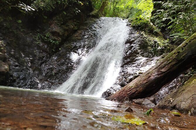 Hike 10 Waterfalls in Jacó - The Sum Up