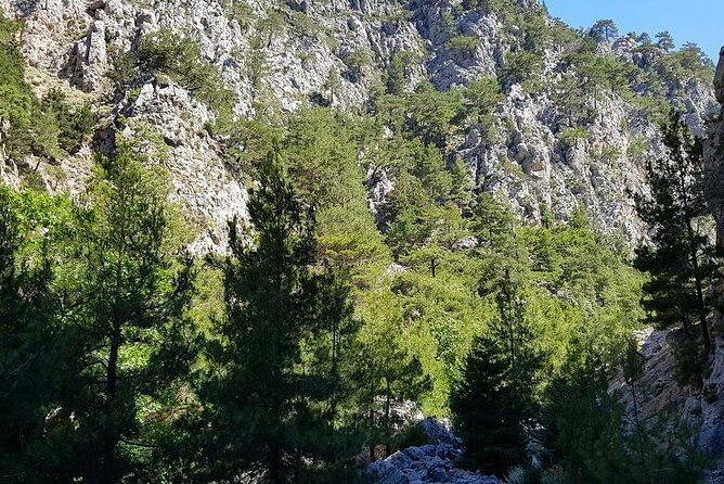 Hike Agia Irini Gorge Private Tour (price per group of 6) - Who Is This Tour Best For?