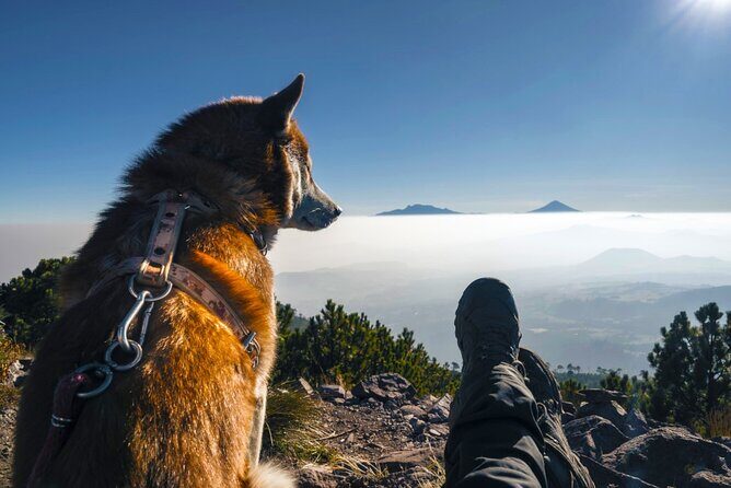 Hike Ajusco Volcano Sunrise Summit Adventure Photos and Video - The Sum Up