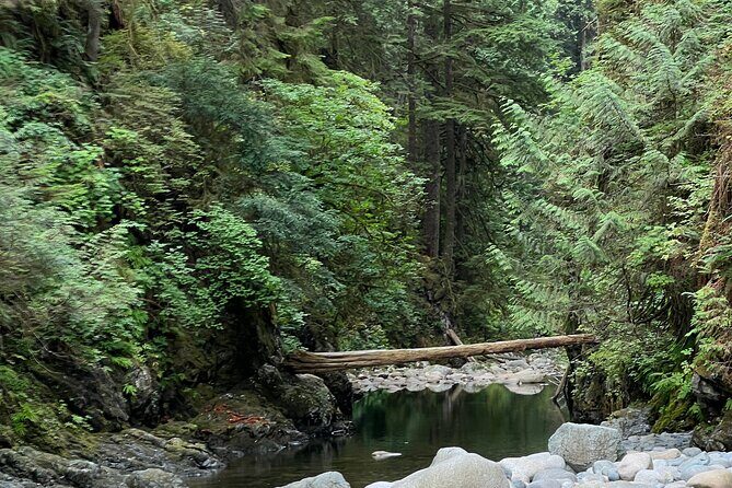 Hike and Bike the Vancouver Forests - Final Thoughts