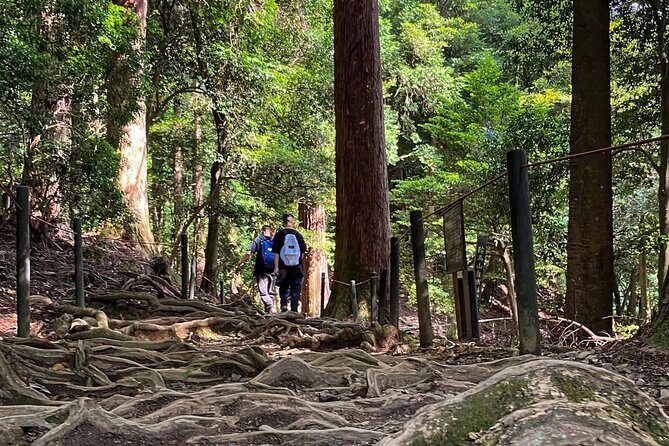 Hike and explore the Kurama and Kibune ancient Paths - Key Points