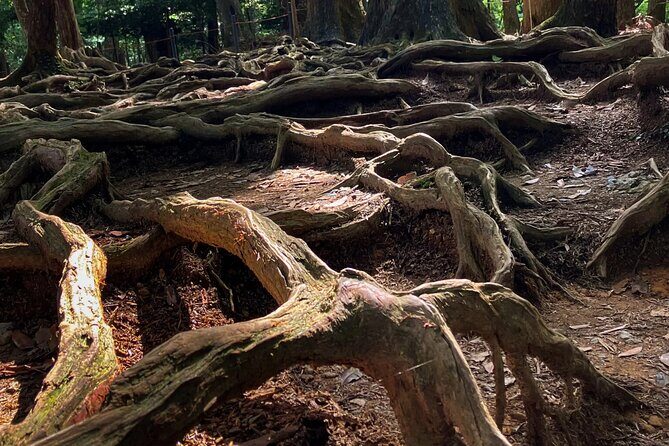 Hike and explore the Kurama and Kibune ancient Paths - Final Thoughts