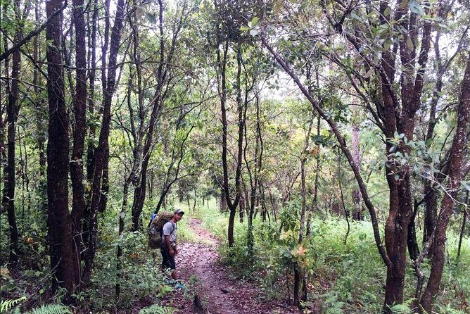 Hike and Kayak with exploring Tuyen Lam Lake in Da Lat - The Sum Up: Is This Tour Worth It?