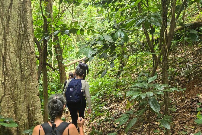 Hike at Charco Prieto for Fairly Experienced Adventurers - What We Like About This Tour