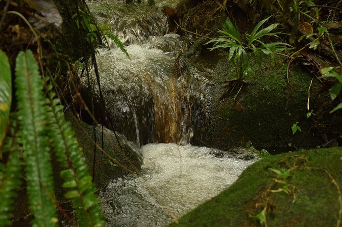 Hike at Rainforest Adventures Costa Rica Braulio Carrillo - Final Thoughts