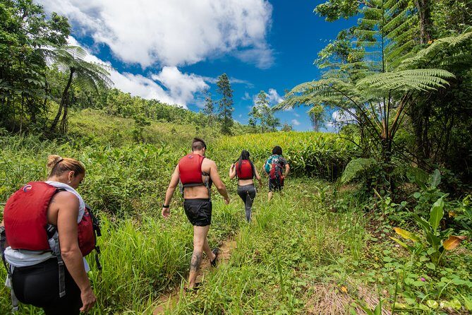 Hike El Yunque Rainforest and Kayak Bio Bay Combo Tour - Experience the Best of Puerto Rico with the El Yunque & Bio Bay Combo