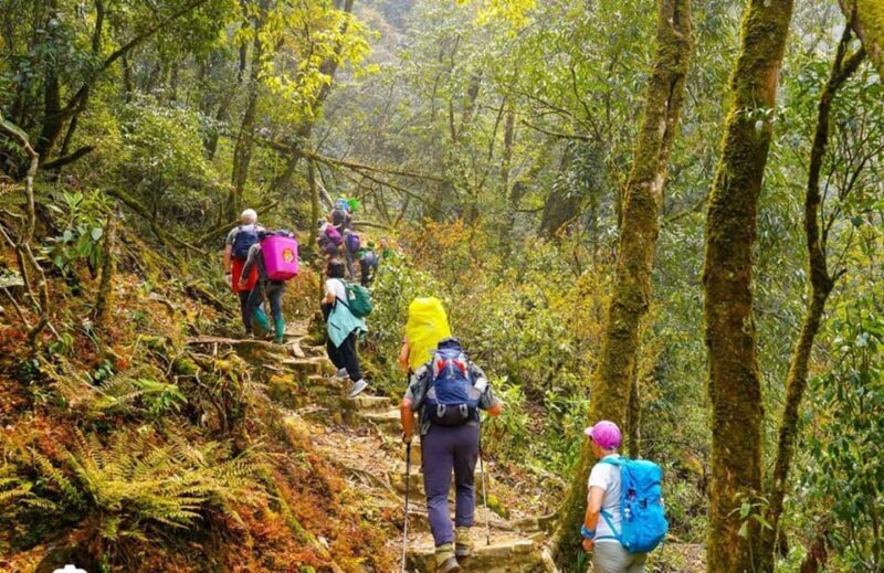 HIKE FANXIPAN MOUNTAIN TOUR 1DAY - An Authentic Day of Mountain Adventure on Fansipan