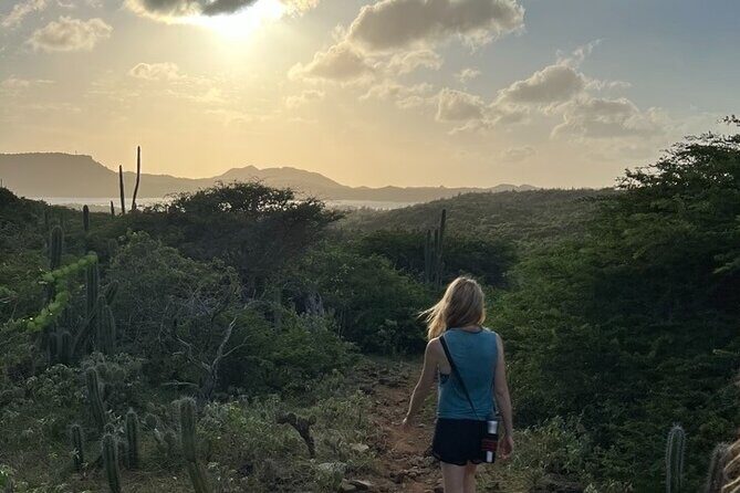 Hike Goto "Flamingo" Meer Trail & Explore North Bonaire - Who Will Love This Tour?