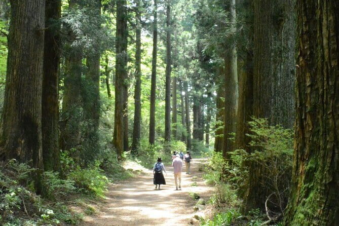 Hike Hakone Hachiri - Exploring Hakone’s Tokaido: A Walk Through Time and Nature