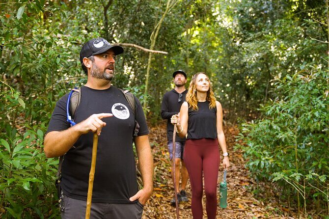 Hike Honolua Ridgeline - Exploring the Honolua Ridgeline: A Guided Maui Hike That Delivers Authentic Nature and Conservation Insights