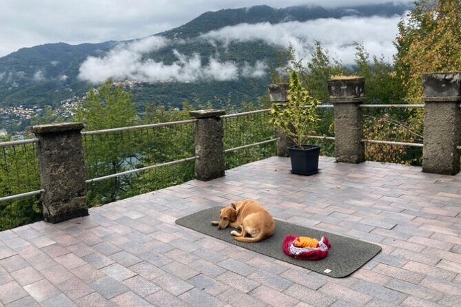 Hike in Blevios Forest for a Private Yoga Class - Pricing and Value