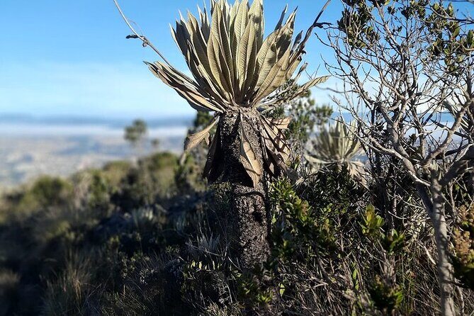 Hike in Bogota's East Hills - FAQ