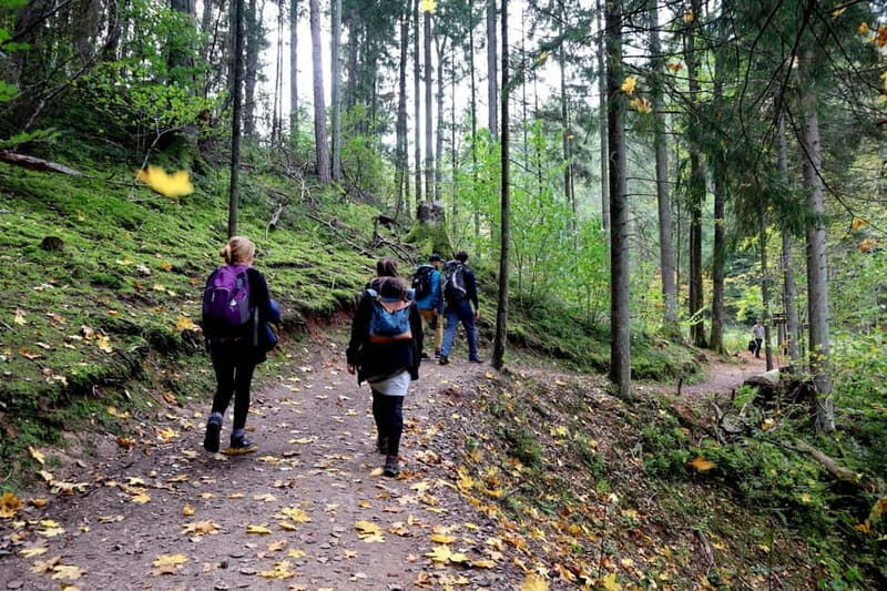 Hike In Gauja National Park - Sigulda - An In-Depth Look at the Gauja National Park Hike