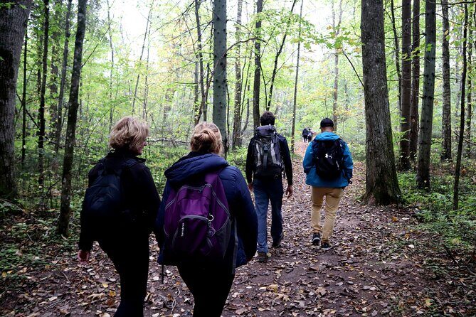 Hike In Gauja National Park - Up And Down The Switzerland Of Latvia - Who Would Enjoy This Tour?