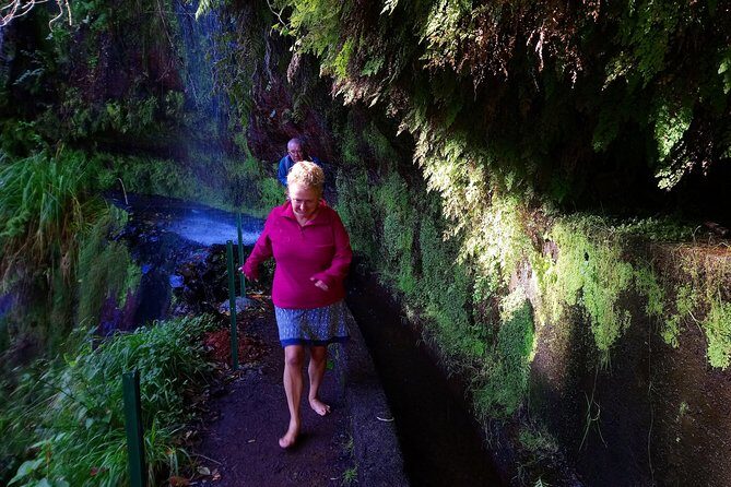 Hike in Laurisilva Levada do Rei - Madre of Life small Group guided walk - Experience a Scenic Walk through Madeira’s Laurisilva Forest
