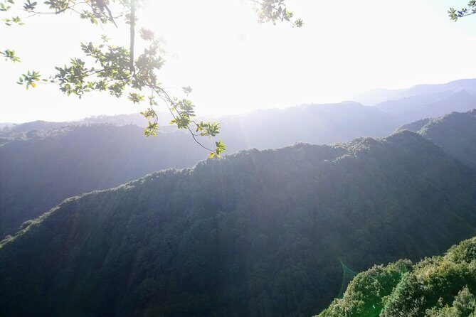 Hike in Laurisilva Levada do Rei - Madre of Life small Group guided walk - Why We Think This Tour Is Worth Considering