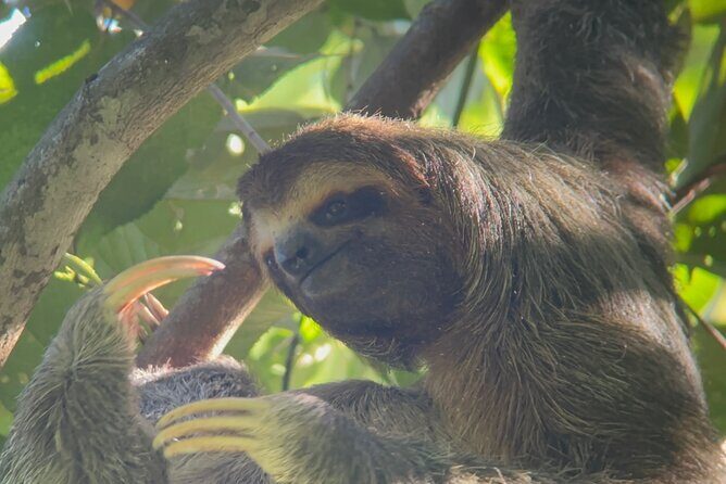 Hike in Manuel Antonio National Park with Transportation - Final Words: Who Is It Best For?
