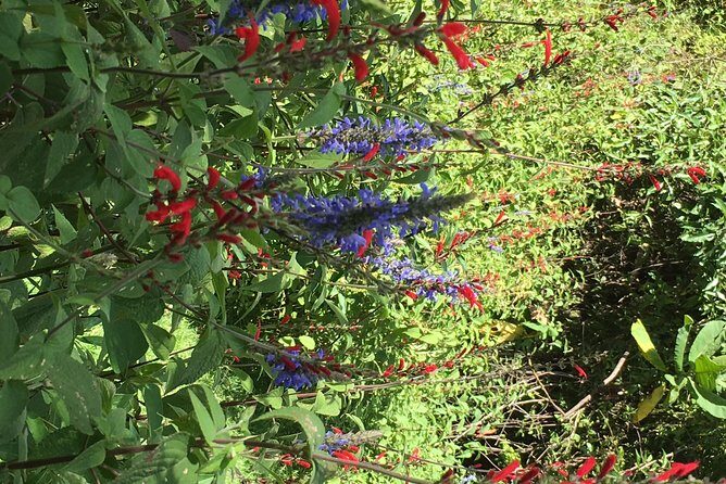 Hike in pristine Forest, a view from above Atitlan - A Closer Look at the Experience