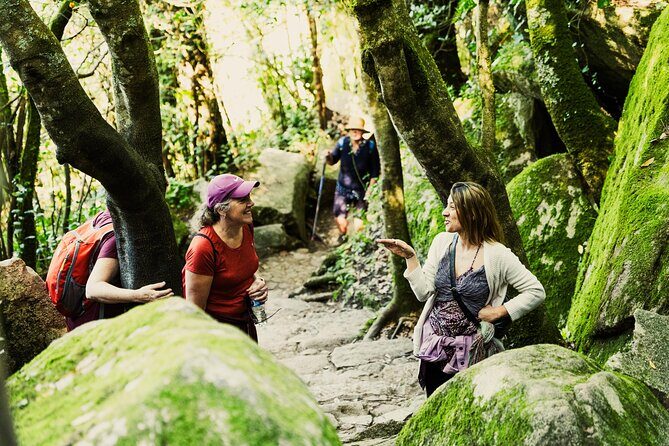Hike in Sintra: Pena Palace, Moorish Castle, Quinta da Regaleira - Who Will Appreciate This Tour?