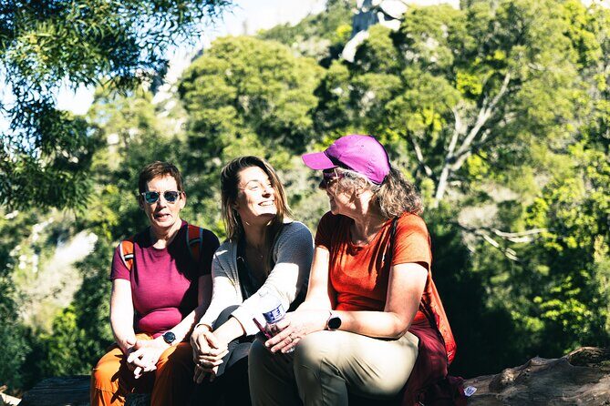Hike in Sintra: Pena Palace, Moorish Castle, Quinta da Regaleira - The Value of This Experience
