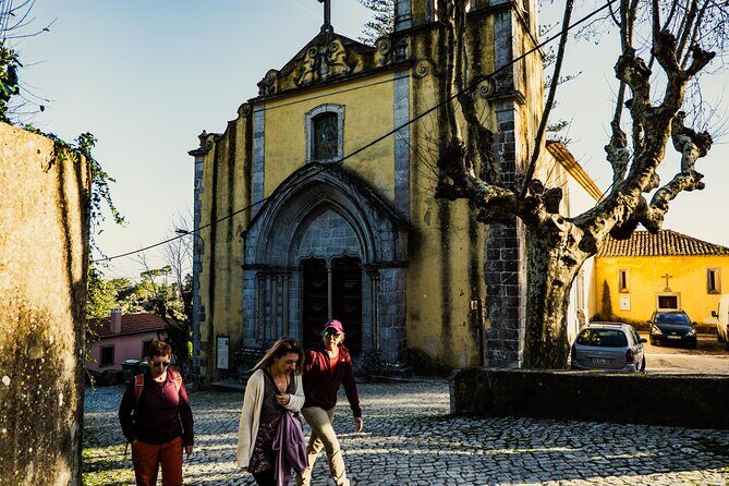 Hike in Sintra: Pena Palace, Moorish Castle, Quinta da Regaleira - Final Thoughts: Who Should Book This Tour?