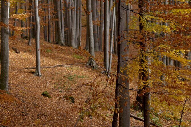 Hike in The Central Balkan National Park - Who Should Take This Tour