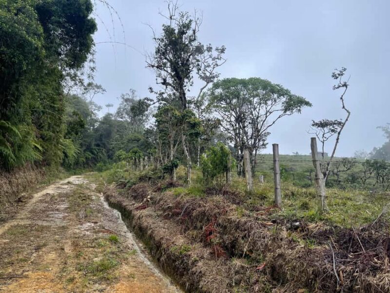 Hike in the El Oso reserve: a paradise for nature & adventure lovers - Key Points