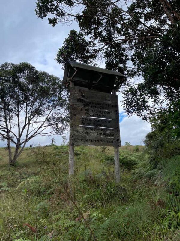 Hike in the El Oso reserve: a paradise for nature & adventure lovers - A detailed look at the El Oso reserve hike