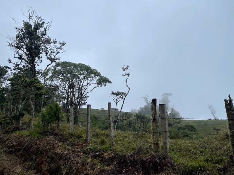 Hike in the El Oso reserve: a paradise for nature & adventure lovers - Final thoughts: is this tour worth it?