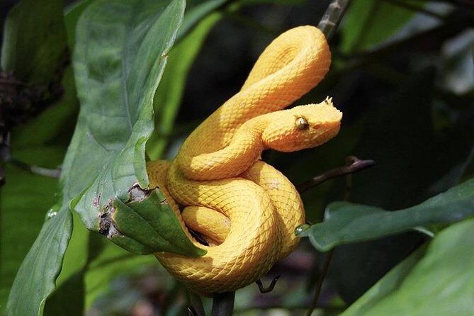 Hike in the Gandoca-Manzanillo Refuge - A Deep Dive into the Gandoca-Manzanillo Refuge Hike