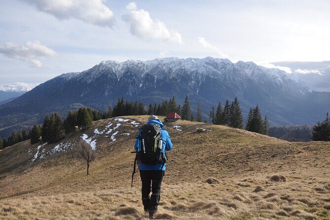 Hike in the Wild Private Photo Tour - Hike in the Wild Private Photo Tour: An Authentic Mountain Adventure from Brasov