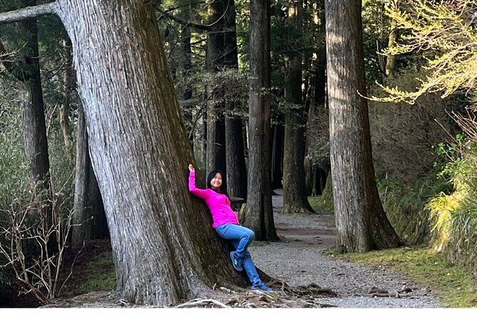 Hike Japan Heritage Hakone Hachiri with certified mountain guide - A Deep Dive into the Hakone Hachiri Heritage Hike