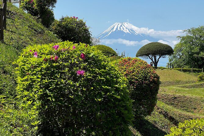 Hike Japan Heritage Hakone Hachiri with certified mountain guide - Who Will Love This Tour?
