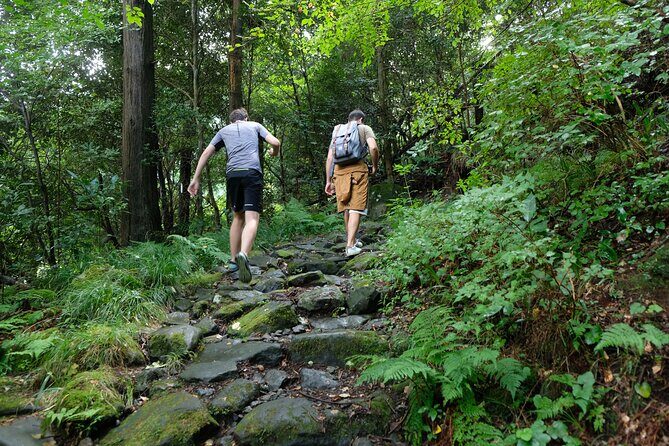 Hike Japan Heritage Hakone Hachiri with certified mountain guide - The Sum Up