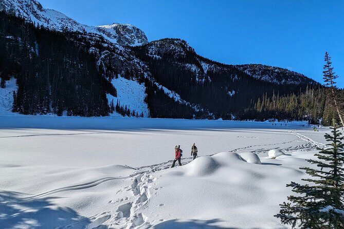 Hike Joffre Lake, Whistler & Shannon Falls Tour - Final Thoughts: Is This Tour Right for You?