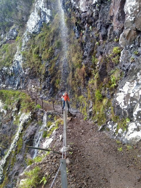 Hike: Machico- Boca do Risco -Porto da Cruz - Who Will Love This Experience?