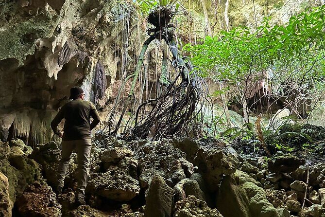 Hike Manantial De Guayaney Moderate Adventure - Key Points