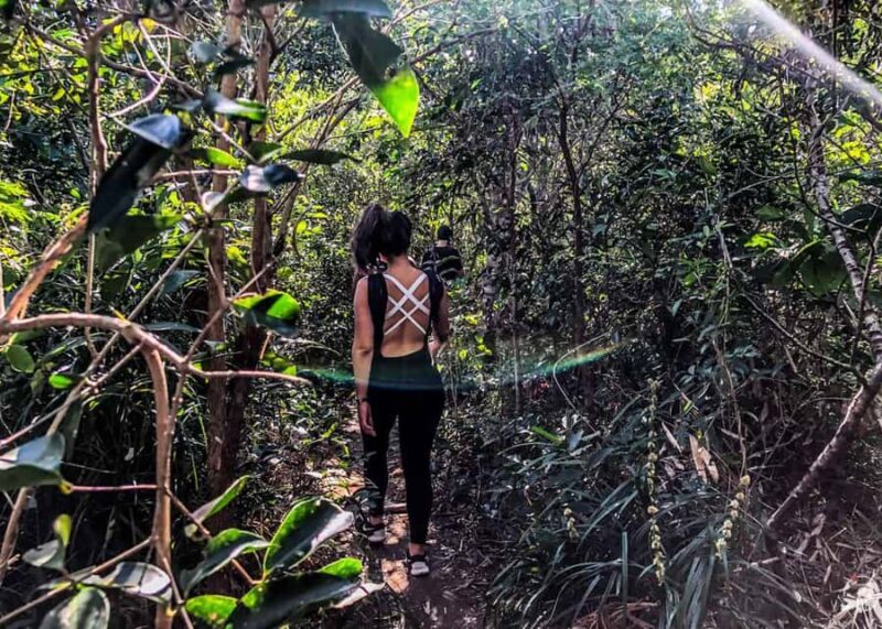 Hike Morro Dois Irmãos: Panoramic Views of Ipanema & Leblon - Who Will Love This Tour?