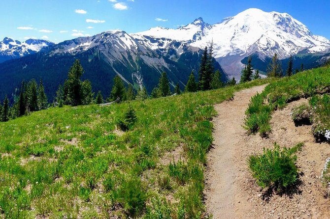 Hike Mt. Rainier & Taste Yakima Valley Wine: All-Inclusive Day Tour from Seattle - Who Will Love This Tour?
