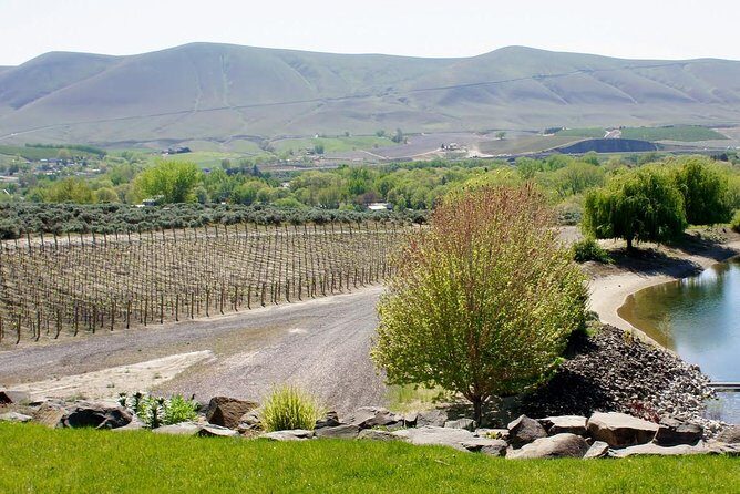 Hike Mt. Rainier & Taste Yakima Valley Wine: All-Inclusive Day Tour from Seattle - Frequently Asked Questions