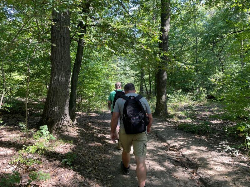 Hike, nature & picturesque view over Budapest - Exploring Budapest from the Hills: A Guided Hike through Buda’s Natural Beauty