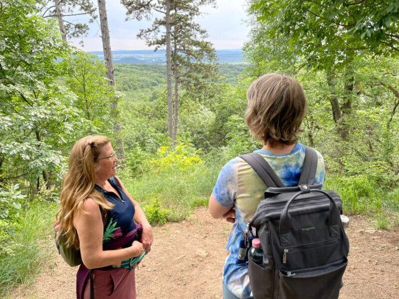 Hike, nature & picturesque view over Budapest - Key Points