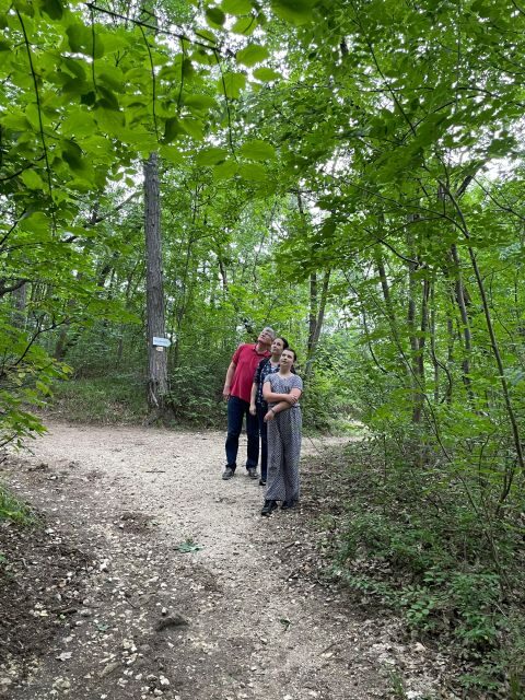 Hike, nature & picturesque view over Budapest - Final Thoughts