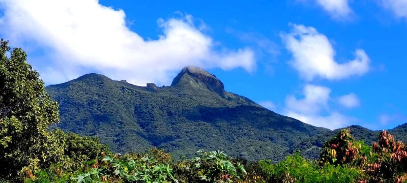 Hike St. Kitts: Highest peak Mount Liamuiga Volcano - Frequently Asked Questions