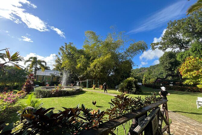 Hike St Kitts: Wingfield Rainforest and Romney Experience - The Sum Up: Who Will Love This Tour?