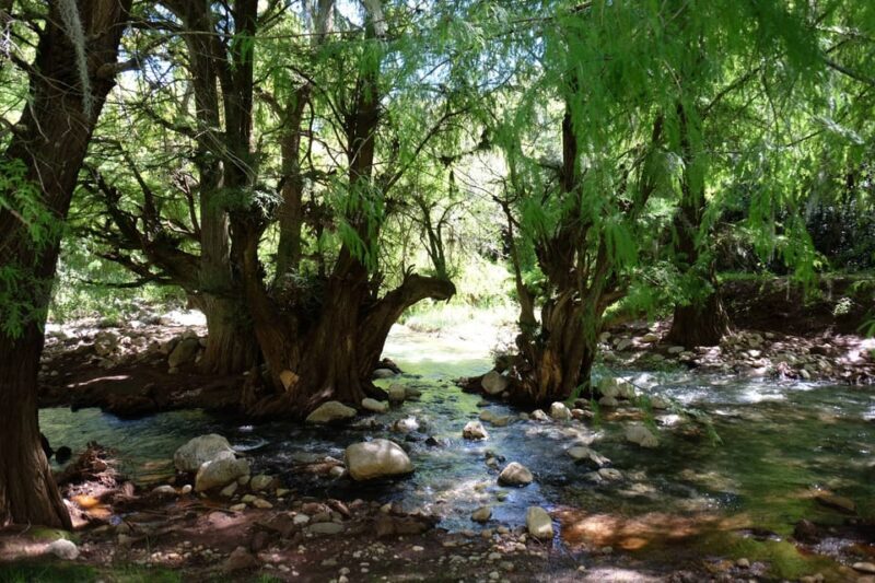 Hike + Swim at Apoala Waterfalls - FAQ