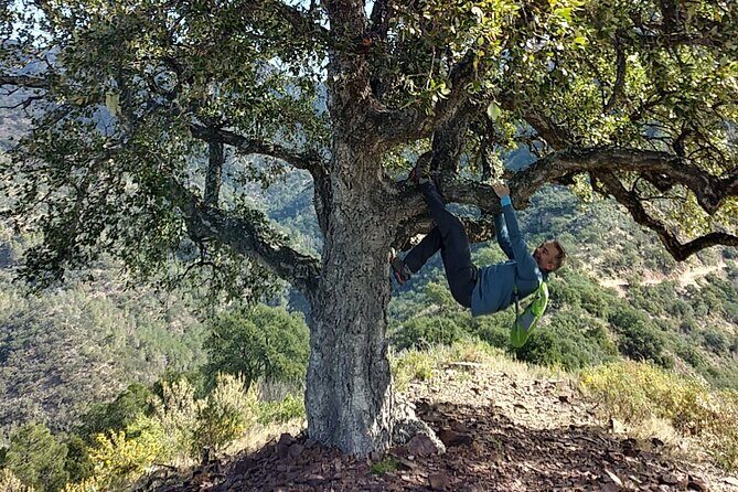 Hike the Cork Oak trail and try some Delicious Cheese - Key Points