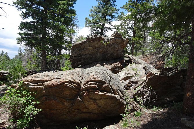 Hike the Rockies Half Day Tour - Who Will Love This Tour?