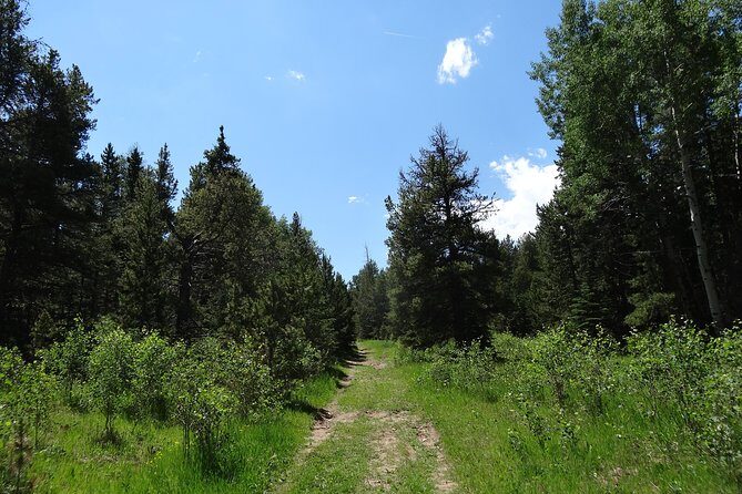 Hike the Rockies Half Day Tour - The Sum Up