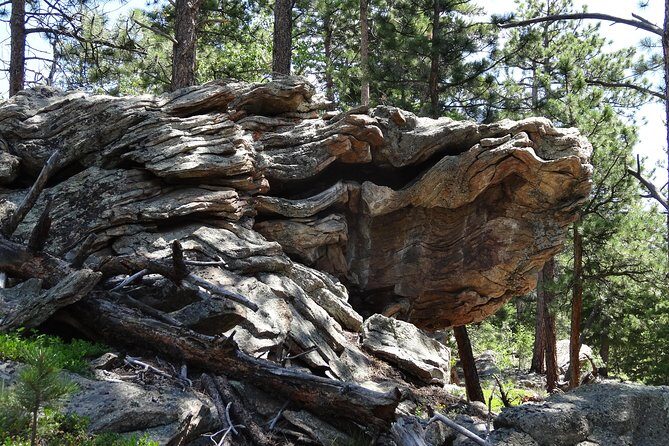 Hike the Rockies Half Day Tour - FAQs